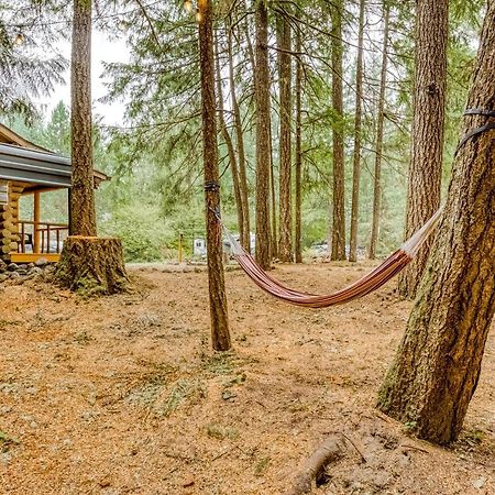 Best Log Cabin Brightwood Luaran gambar